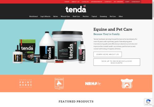 Tenda Horse capture - 2025-04-10 21:59:37