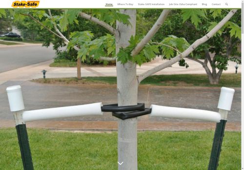 Stake-SAFE capture - 2025-04-10 22:00:35