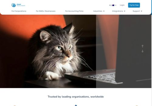 AssetAccountant capture - 2025-04-11 00:28:50