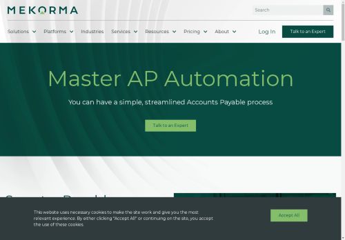 Mekorma capture - 2025-04-11 07:57:48