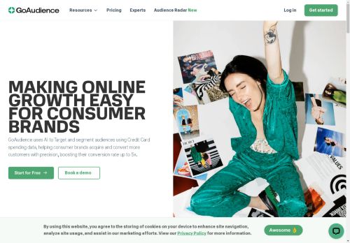 GoAudience capture - 2025-04-11 08:18:05