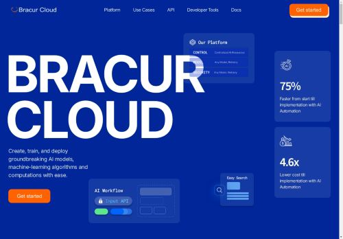 Bracur capture - 2025-04-11 08:44:29