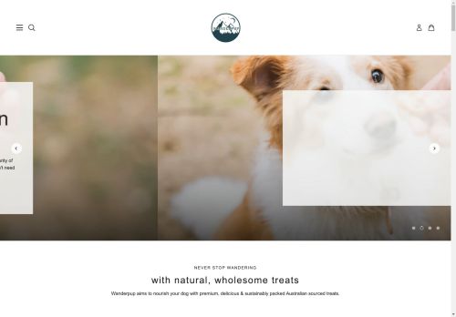 Wanderpup capture - 2025-04-11 08:46:31