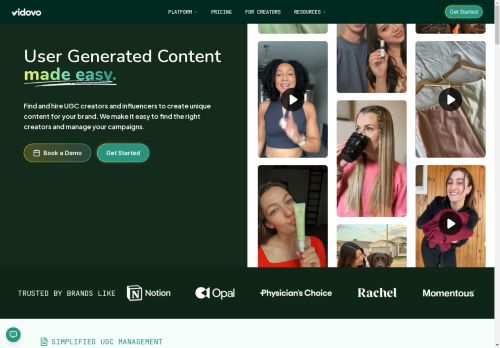 Vidovo capture - 2025-04-11 08:46:31