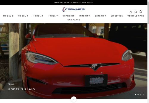 Carmine's capture - 2025-04-11 08:55:33