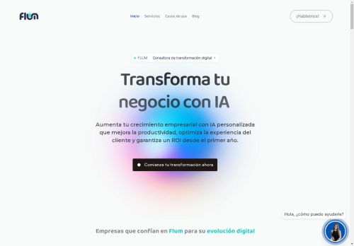 Flum capture - 2025-04-11 09:06:29