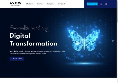 Avow Solutions capture - 2025-04-11 11:52:47