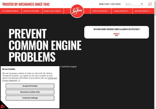 Sea Foam capture - 2025-04-13 06:40:59