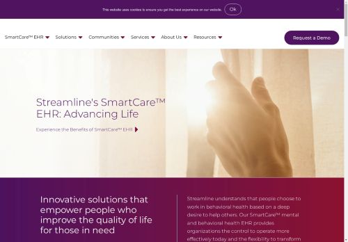 Streamline Healthcare capture - 2025-04-13 07:37:16