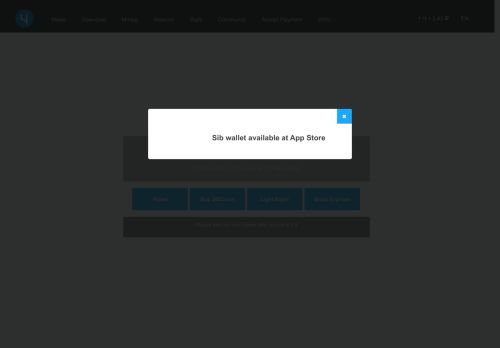 SIBCoin capture - 2025-04-13 07:49:23