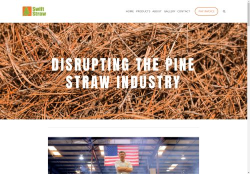 Swift Straw capture - 2025-04-13 11:07:45