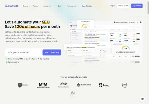 Seo Juice capture - 2025-04-13 11:47:22