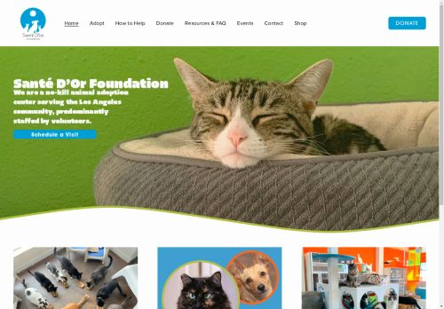 Santé DOr capture - 2025-04-13 12:57:14