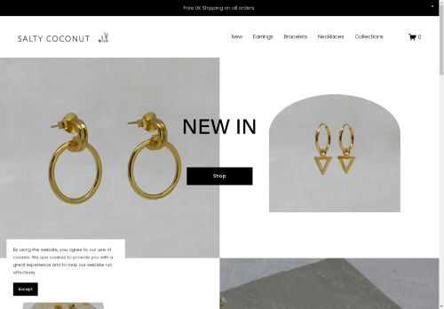 Salty Coconut capture - 2025-04-13 13:26:30