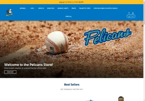 Myrtle Beach Pelicans capture - 2025-04-13 15:52:38
