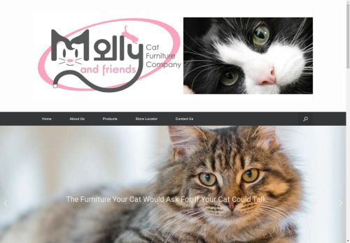 Molly and Friends capture - 2025-04-13 15:54:40