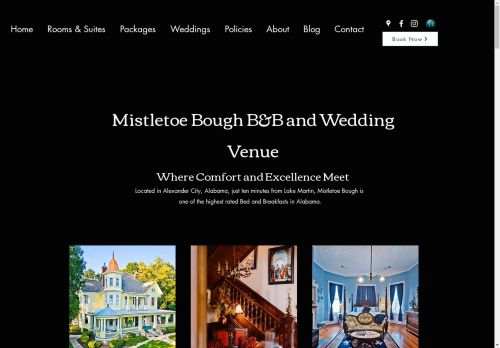 Mistletoe Bough capture - 2025-04-13 16:06:35