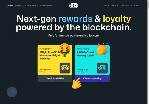 MetaFlyers capture - 2025-04-13 16:15:30