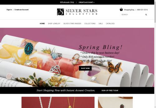 MMA Silver capture - 2025-04-13 16:21:16