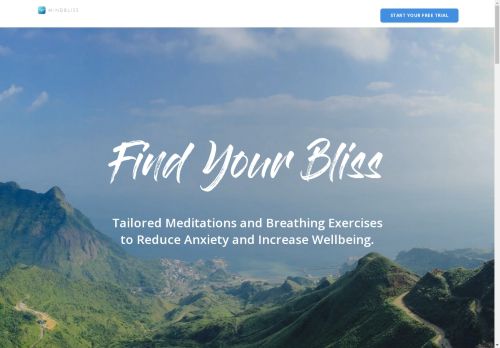 Mindbliss capture - 2025-04-13 16:50:50