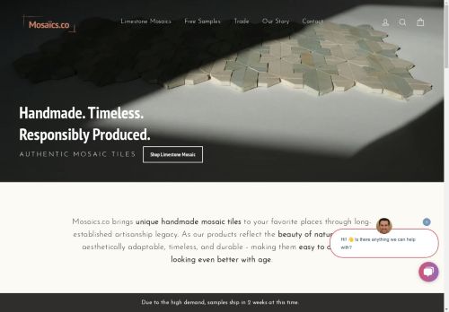 Mosaics.co capture - 2025-04-13 17:12:13