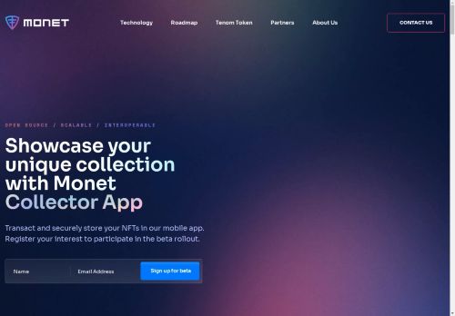 Monet Networks capture - 2025-04-13 18:19:42