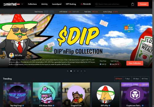 Minted Network capture - 2025-04-13 18:28:22