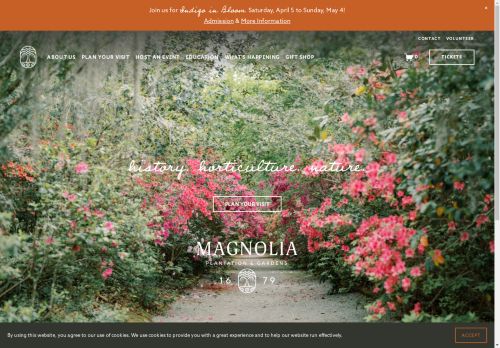 Magnolia Plantation & Gardens capture - 2025-04-13 18:56:33