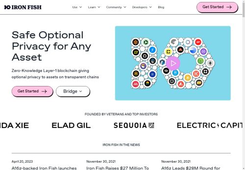 Iron Fish capture - 2025-04-13 22:44:31