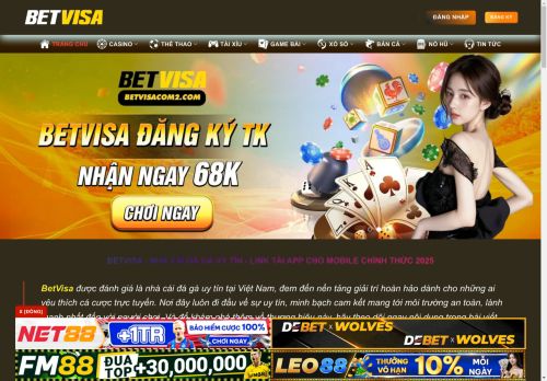 Icybag capture - 2025-04-13 22:45:20