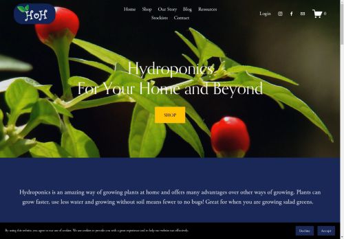 Home of Hydroponics capture - 2025-04-13 23:14:48