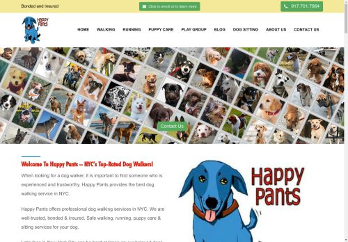 Happy Pants NYC capture - 2025-04-14 01:37:53