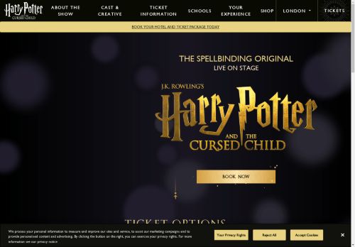 Harry Potter and the Cursed Child capture - 2025-04-14 01:47:15