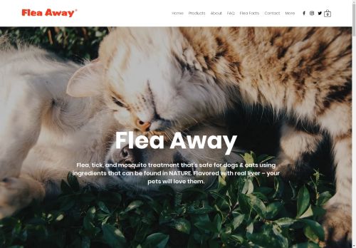 Flea Away capture - 2025-04-14 02:48:23