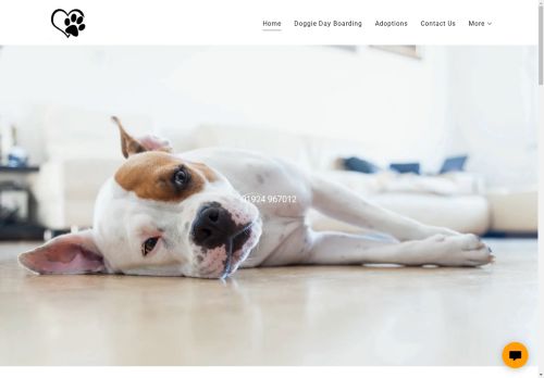 Flushdyke Dog Boarding & Rehomin capture - 2025-04-14 04:55:39