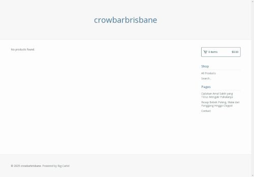 Crowbar capture - 2025-04-14 08:09:53