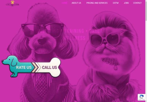 Collar & Comb capture - 2025-04-14 08:14:07