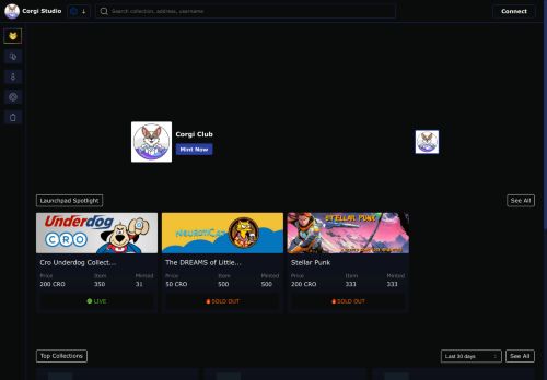 Corgi Studio capture - 2025-04-14 08:39:56