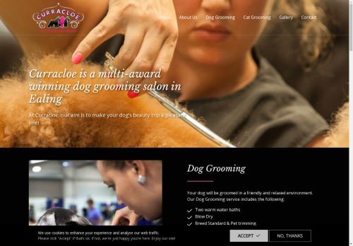 Curracloe Dog Groomers capture - 2025-04-14 11:53:48