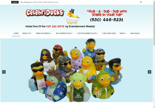 Celebriducks capture - 2025-04-14 11:54:46