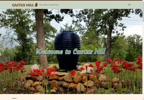 Cactus Hill capture - 2025-04-14 13:21:26