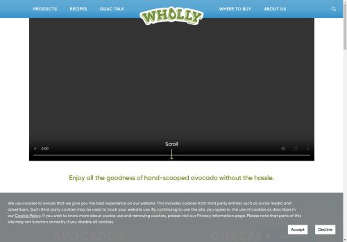 Wholly Guacamole capture - 2025-04-14 17:58:20