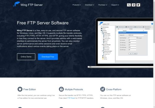 Wing FTP Server capture - 2025-04-14 18:51:15