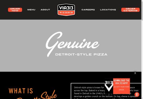 VIA 313 capture - 2025-04-14 20:09:02