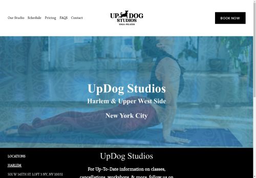 UpDog Studios capture - 2025-04-14 22:14:24