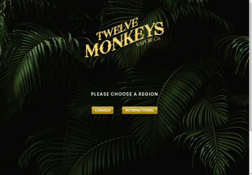 Twelve Monkeys Vapor capture - 2025-04-14 23:20:57