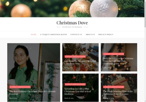 The Christmas Dove capture - 2025-04-14 23:55:55