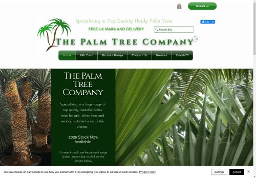 The Palm Tree Company capture - 2025-04-15 00:11:50