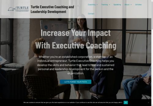 Turtle Executive Coaching capture - 2025-04-15 00:23:24