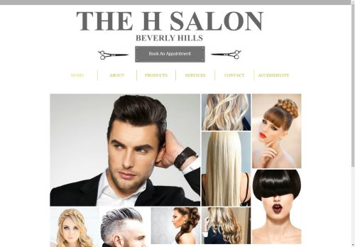 The H Salon capture - 2025-04-15 01:07:44
